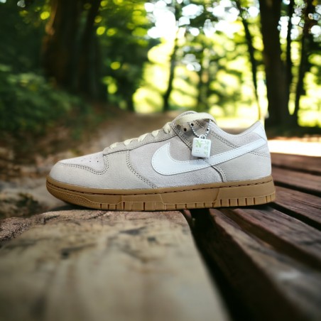 Nike W Dunk Low SE with TAG